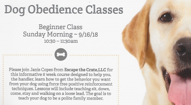 Dog Obedience Classes