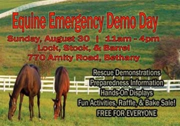 Equine Emergency Demo