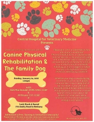 Canine Physical Rehabilitation & the Family Dog