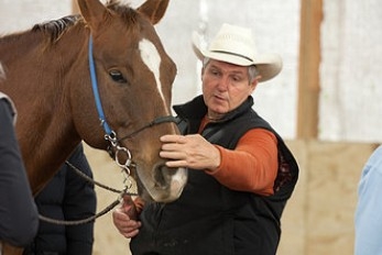 Dale Myler Bitting Clinic
