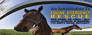 An Introduction to Equine Emergency Rescue