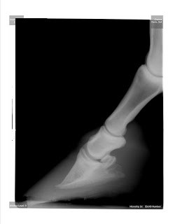 image1a.jpg