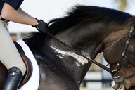 Person Riding a Horse